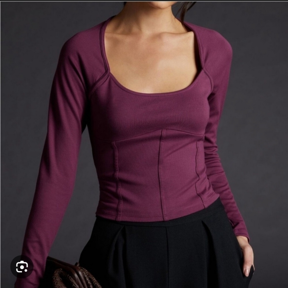 663-Nwot Maeve Long Sleeve Corset‎ Top in Mauve